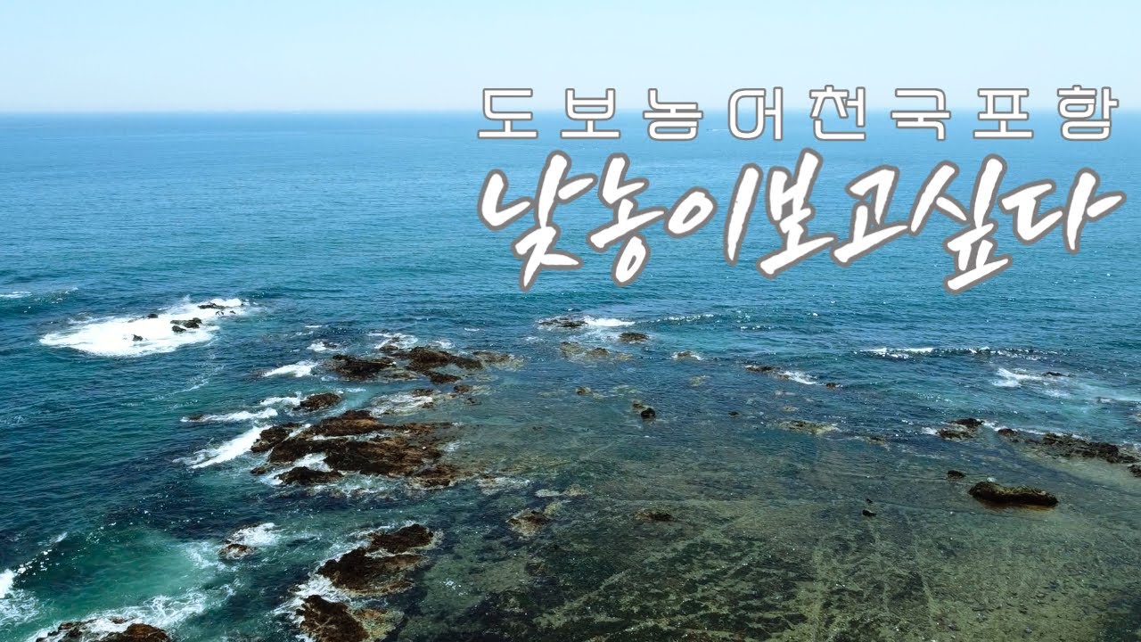 낮농어 잡으러 포항 돌아다니기