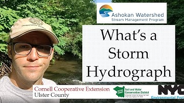 Hydrograph of Tropical Storm Isaias