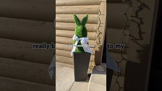 DIY Bunny Topiary- I’m begging spring to come early