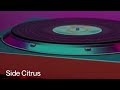 friskyhovis - Side Citrus 