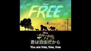 (和訳)Charlie Puth - Free (From "The One and Only Ivan")