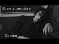Shawn Mendes - Dream (Lyrics) #shawnmendes #dream #song #lyrics