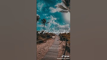 من سورة الأنعام بمقام البيات ❤️ الشيخ المنشاوي