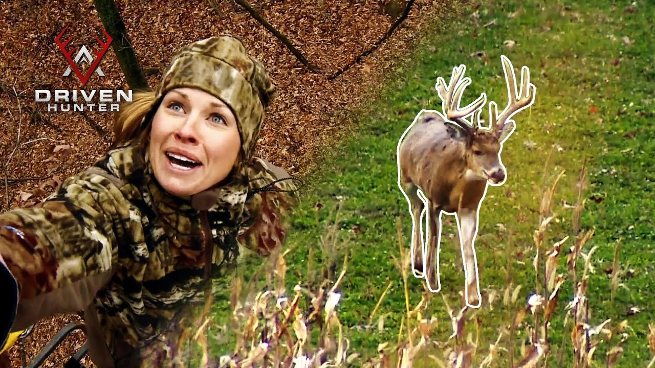 Crazy Illinois Rut Hunt YouTube