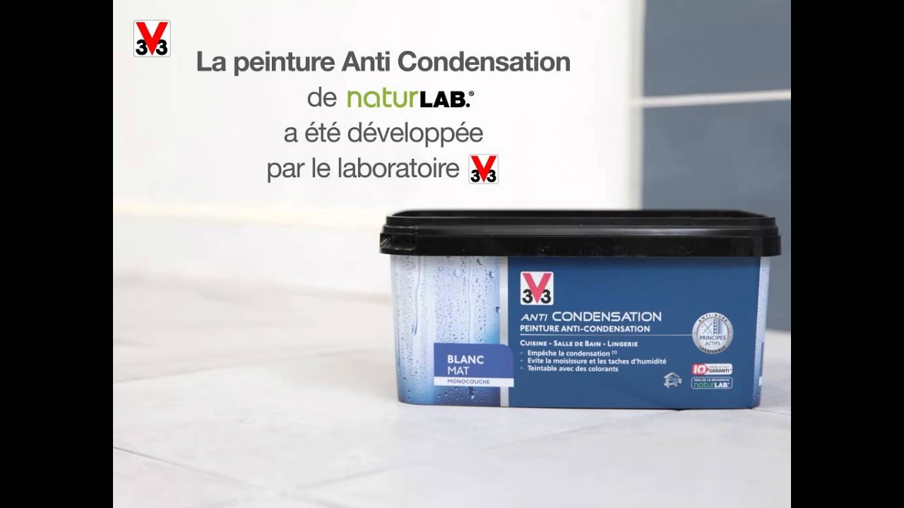 Peinture Isolante Anti-condensation et Anti-moisissure C350 — BRYCUS