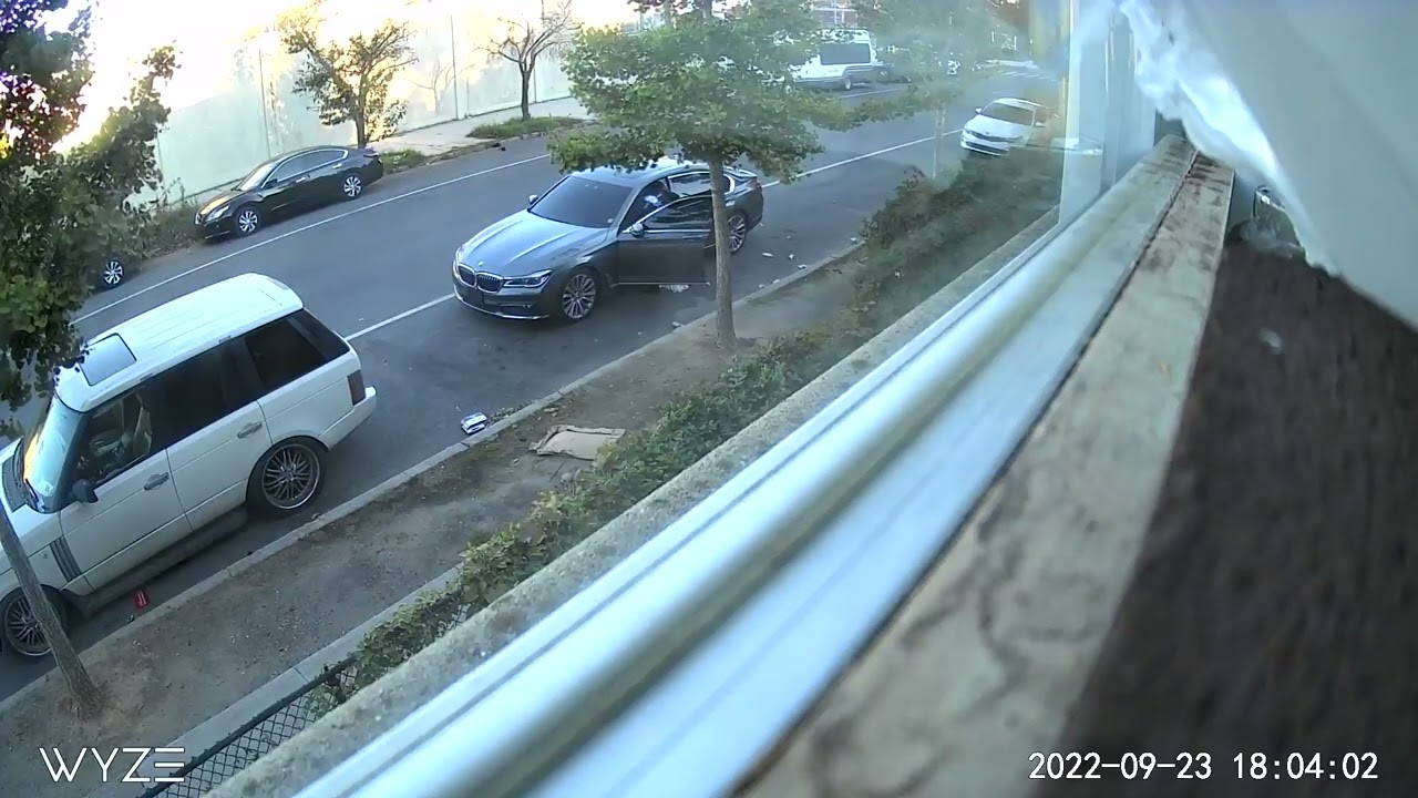 LITTER DOG Dropping trash plate Pennsylvania LWW-4735