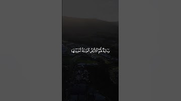 اسمعها بقلبك ❤️ تلاوة تهز المشاعر بصوت #محمد_احمد_حسن 🌿 #سورة_يس #قرآن_كريم #راحة_نفسية #quran