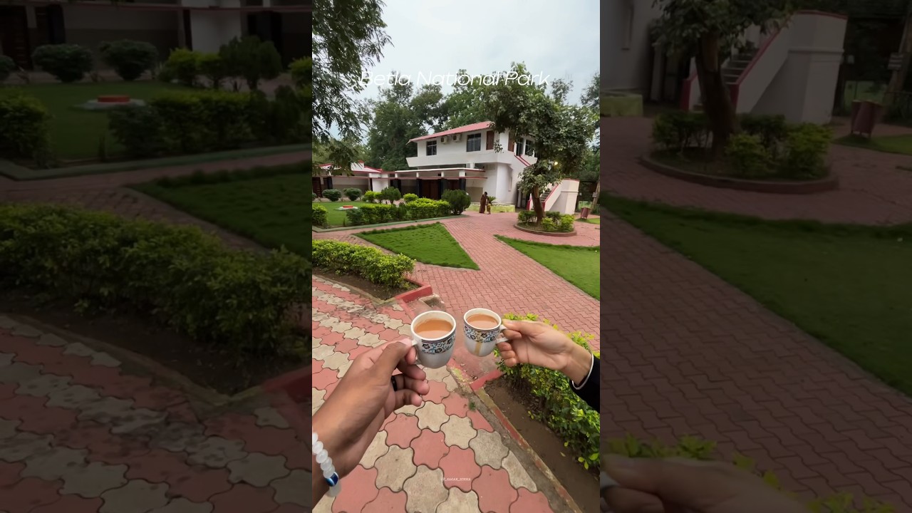 Betla National Park |Jharkhad | 