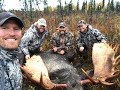 Alaska Moose Hunt-2017 DIY 4 Bulls