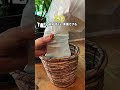 無印週間これ買って！神アイテム8選✨