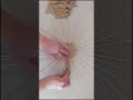 ديكور حائط بالكرتون المعاد تدويره DIY سهل ومذهل