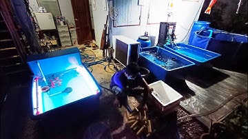 ภศล Tamasaba - งานติดตั้งตู้ปลา 60 24 กรองล่าง + 60 20 กรองบน เป็นตัว L พร้อมทำระบบ O4FS Day 1 Set 3