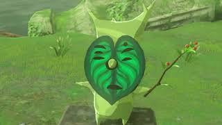 BREATH OF THE WILD Korok Hunting Is Destroying Me