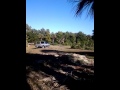 Ecoflorida tree & landscaping
