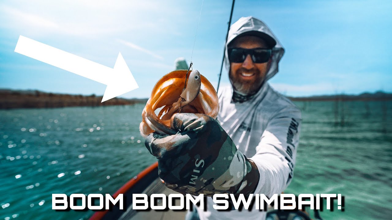 Why This Small Swimbait Should Be On Your Radar!! Field Testing
