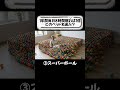 1年間チャレンジどのベッドを選ぶ?