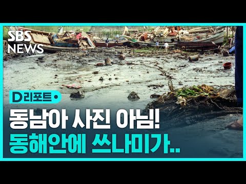 강원 동해안에 쓰나미가 오면?…1983년 삼척항 피해 사진 공개 / SBS / #D리포트