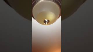 Famous Other time light fixture in front leaking Profile
