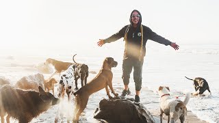 I USED TO WALK 40 DOGS ALONG THIS BEACH!