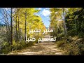 تقاسيم ص با عود منير بشير 