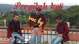 Lagu Batak PERGILAH ke 8, Entral Trio