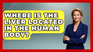 Where Is the Liver Located in the Human Body All About Anatomy Answers News