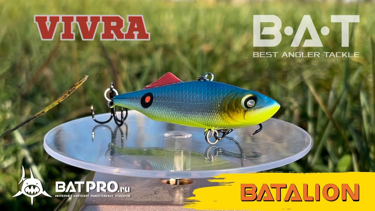 BAT VIVRA