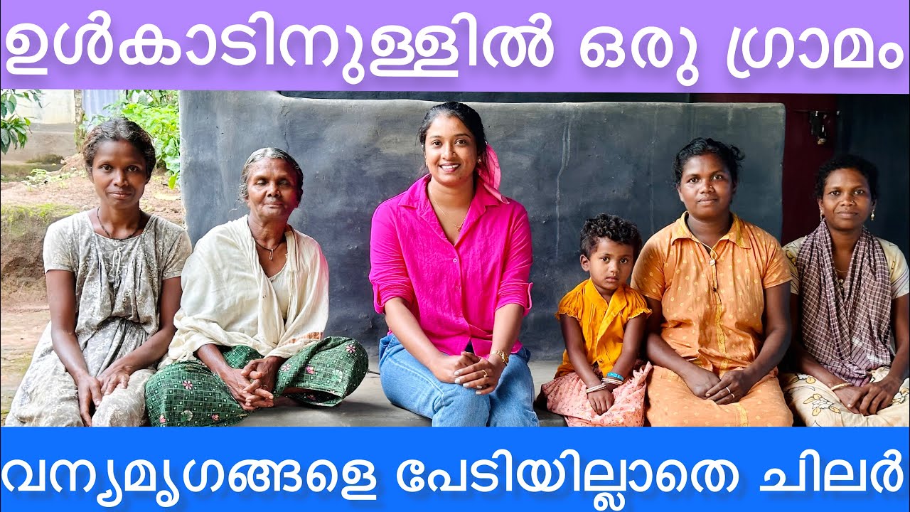 കൊടും കാടിനുള്ളിൽ അതിമനോഹരമായ ഒരു ഗ്രാമം Chettiyalathur Pattavayal Wayanad Kerala