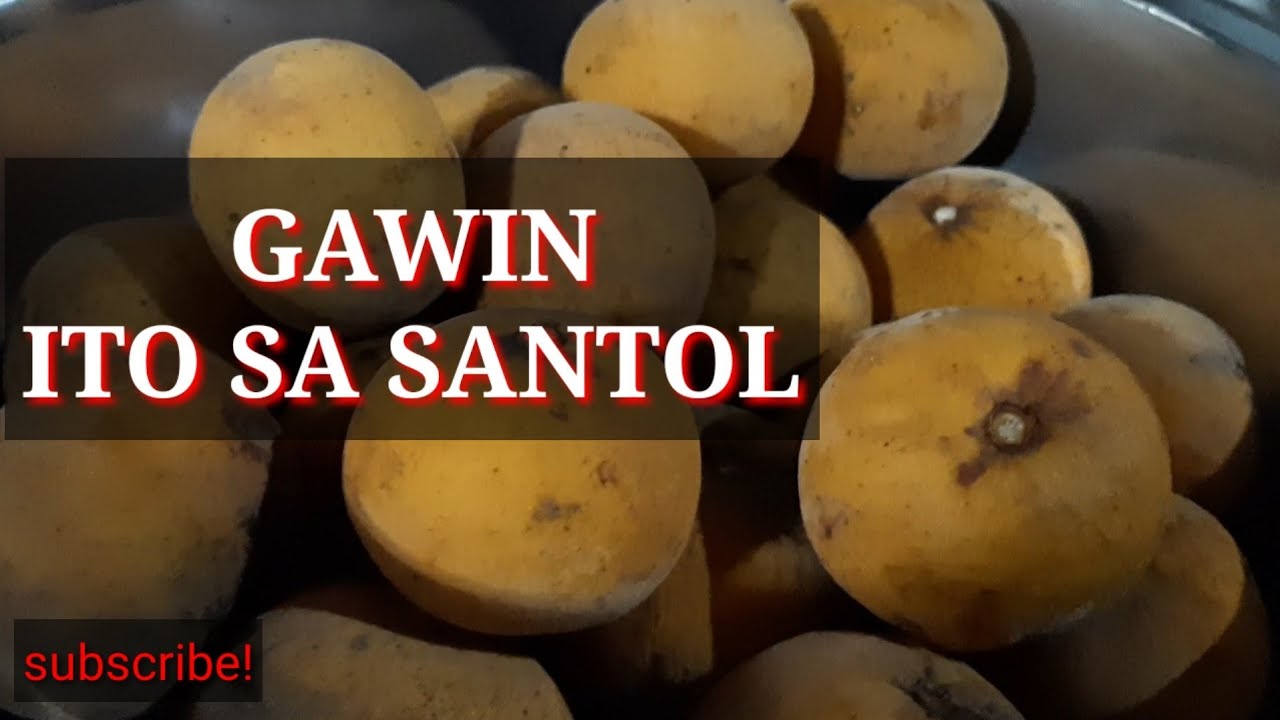 PAANO GAWING MATAMIS ANG SANTOL?