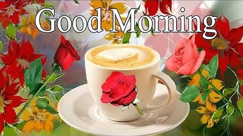गुड मॉर्निंग शायरी स्टेटस वीडियो||good morning shayari status video||@Gourangaacharya-j7h