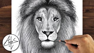How To Draw A LION | Drawing Tutorial For Beginners step by step