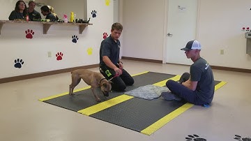 DPFL team coaching P+ to R  for Mama