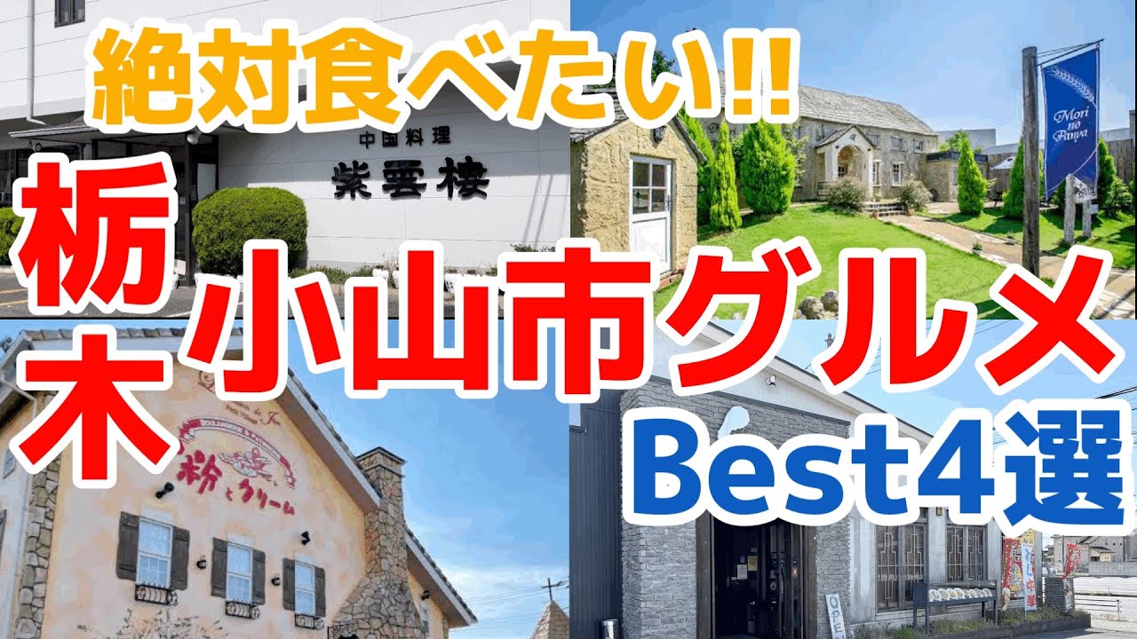 【栃木グルメ】栃木県第二の都市で人気のグルメ4選を大公開　栃木県　小山市