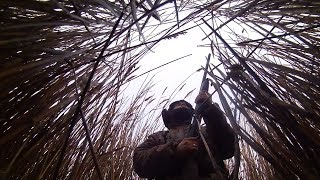 Охота на уток и гуся!Моя первая охота снята на видео.Воспоминание в 2018 Охота на уток и гуся!Моя первая охота снята на видео.Воспоминание в 2018