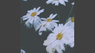 I Thought I Saw Your Face Today - Piano (Night) - Penguin Piano