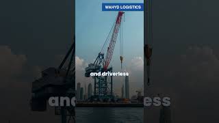 The Port That Never Sleeps — UAE’s AI Logistics Revolution #logistics #uae #facts #viralshort #ai
