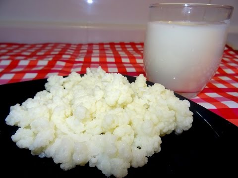 Video: Cómo Almacenar Un Hongo De Leche