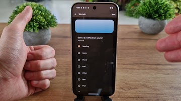 🔔 How to Manage Notification Sound on Google Pixel 9 Pro | Pixel Alerts ✨