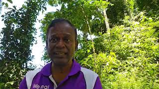 A lot of aboriginal souls elevation near Gambak, Bentong Road, Malaysia 28/08/2024