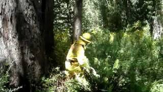 PVFD Wildland Fire Training