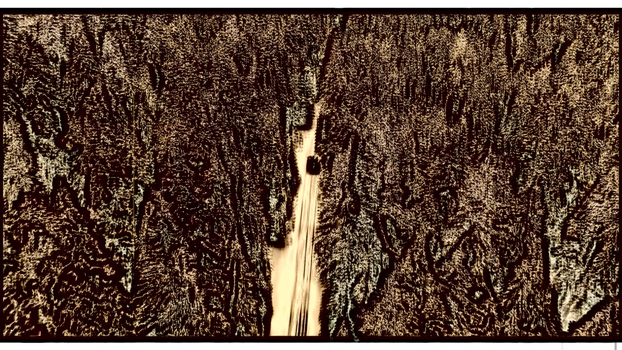 BLOODWINTER - I hate my life (Depressive Atmospheric Black Metal)