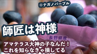 斎藤一人「師匠は神様」尾形幸弘著の６６pからがヤバイ件！謎が一つとけた！！