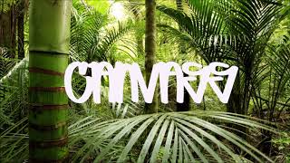 Jungle Moombah Remix [MAZEK DJ ]