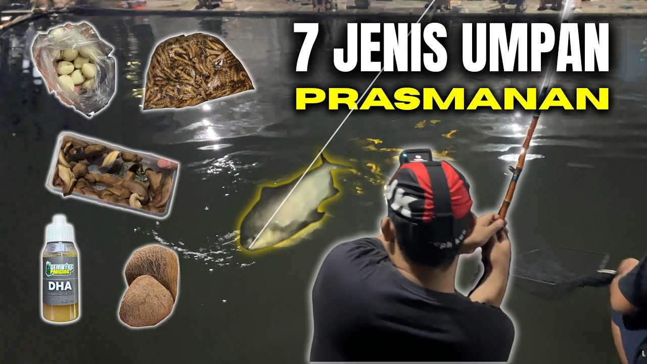 Pake 7 Umpan Sekaligus! Mancing Bawal Rasa Prasmanan  - Semua Umpan Dicoba!
