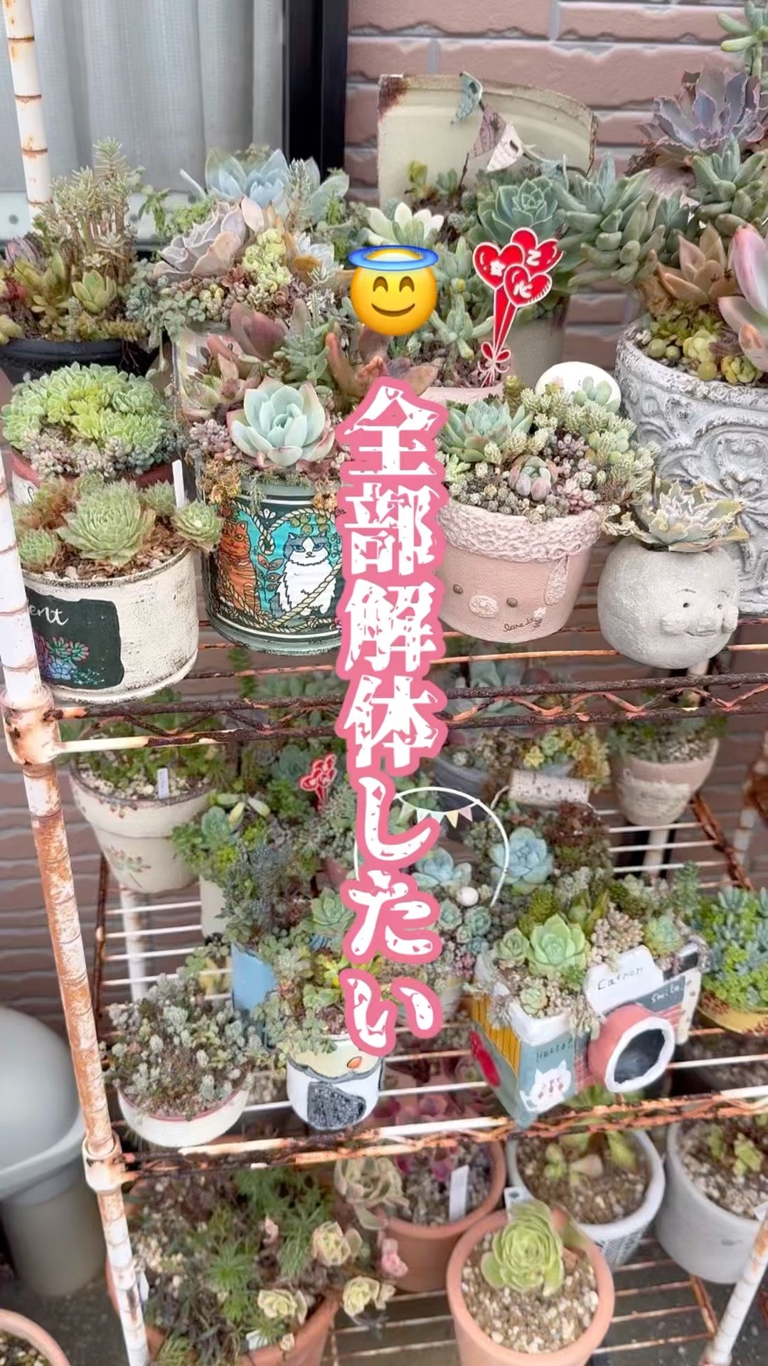 taniku no torico - YouTube