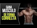 ETAPA DE VOLUMEN | COMO GANAR MUSCULO DE FORMA CORRECTA