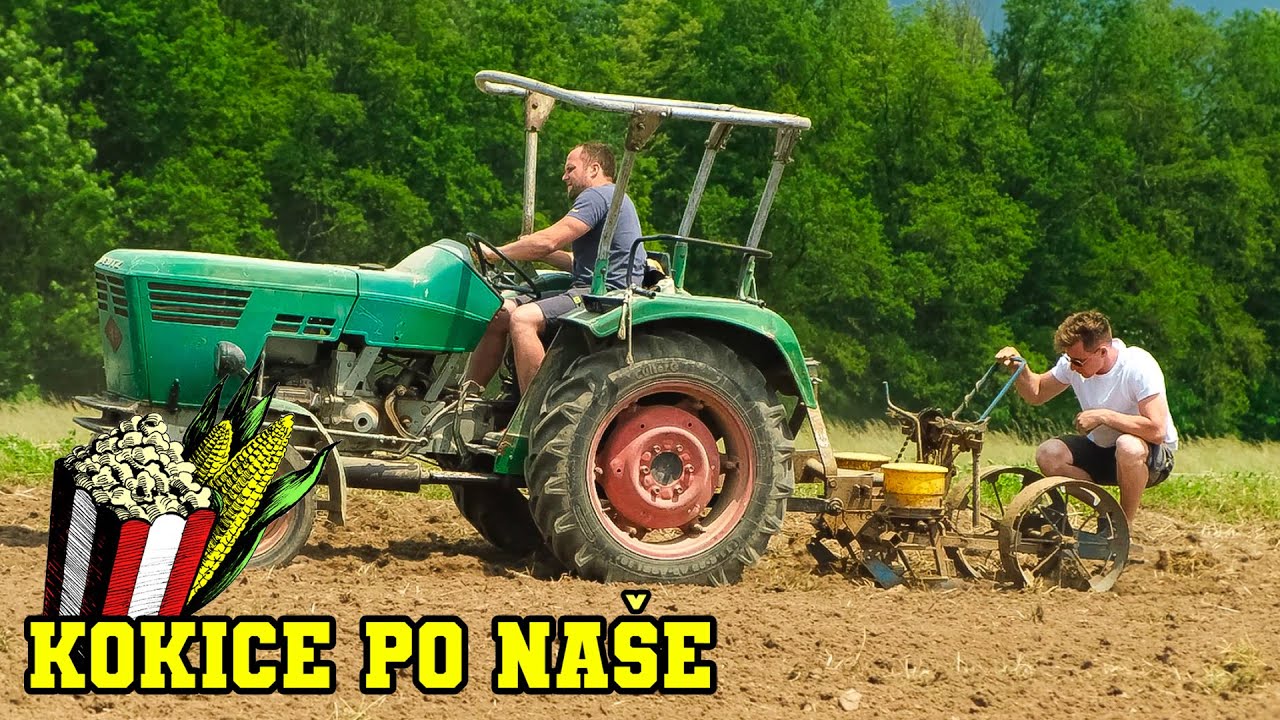 KOKICE PO NAŠE - Setev kokic (3. del)