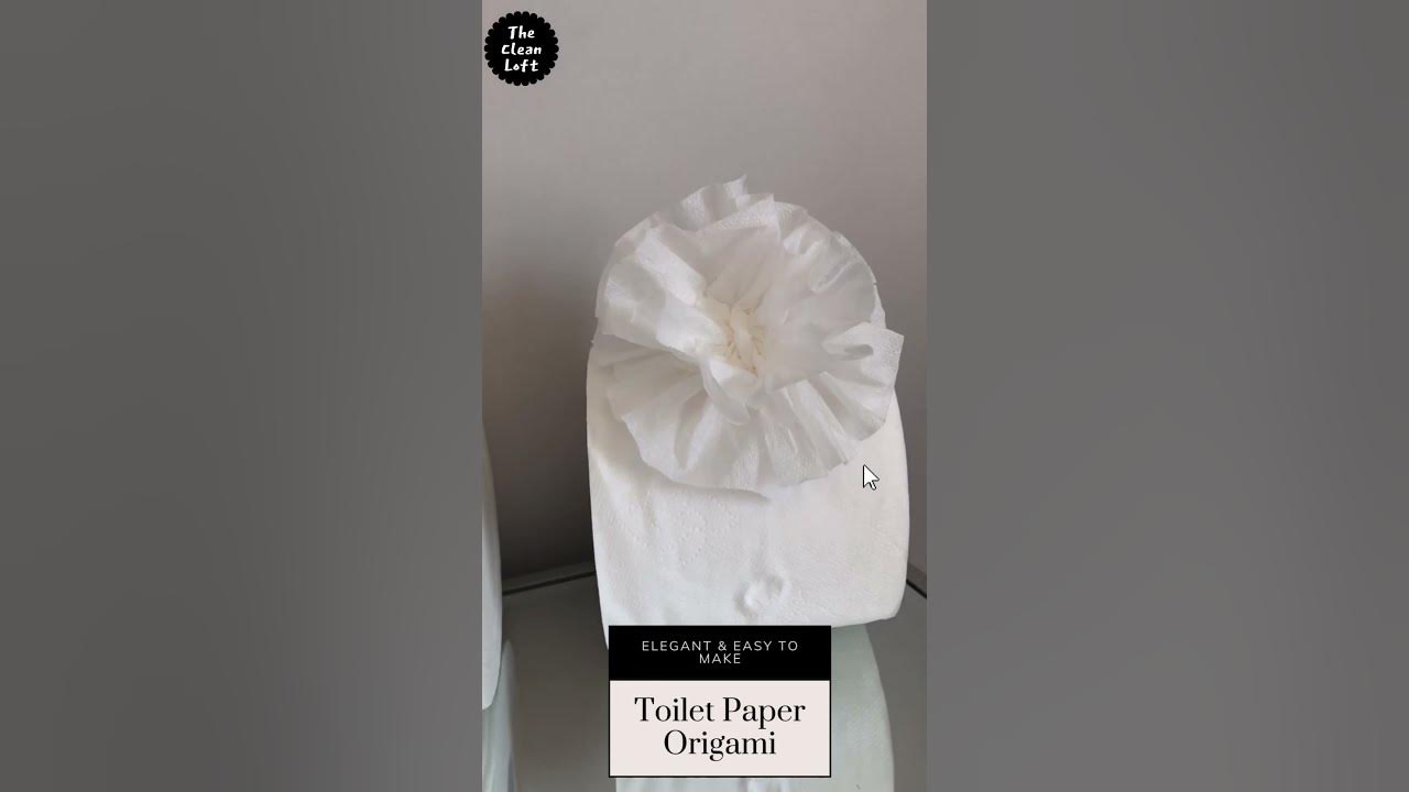 5 Mind Blowing Easy Ways To Fold Toilet Paper Link In Comments 5-mind-blowing-easy-ways-to-fold-toilet-paper-link-in-comments