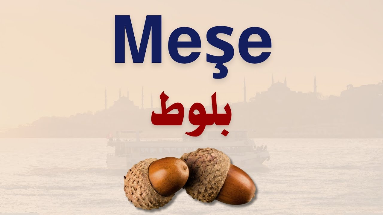 تعلم اللغة التركية بدون قواعد 🇹🇷 - الجزء (12)