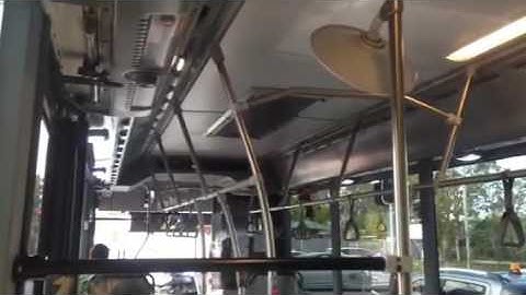 Transdev QLD School Bus Route 5001 PM24